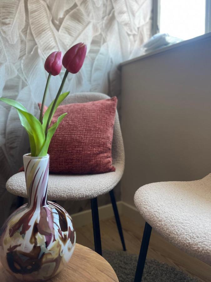 Het Molenhuisje - Met Woonkamer & Keuken Bed & Breakfast Winschoten